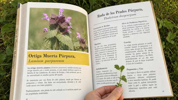 Página del libro de remedios herbales